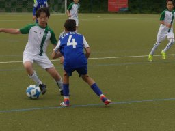 Pfingstturnier 2025 Bilder