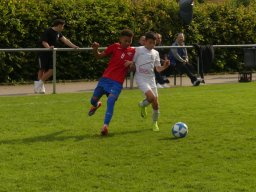 Pfingstturnier 2025 Bilder