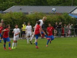 Pfingstturnier 2025 Bilder